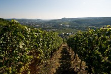Das Ahrtal